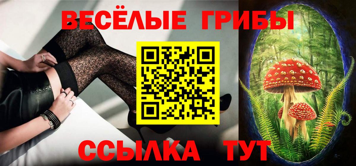 Галлюциногенные грибы Cubensis Мичуринск